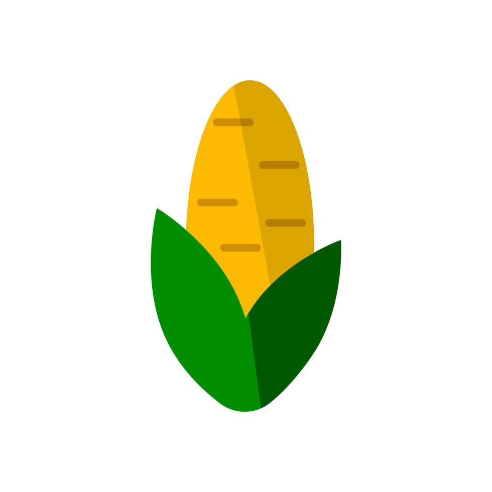 Grain corn icon. Maize. Vector. vector