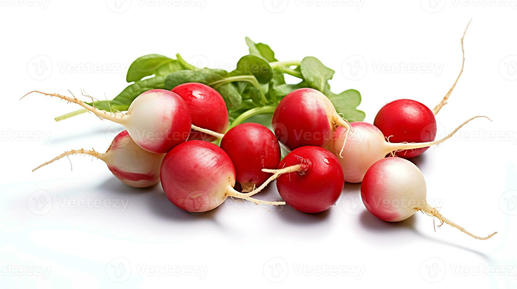 Photo of Radishes isolated on white background