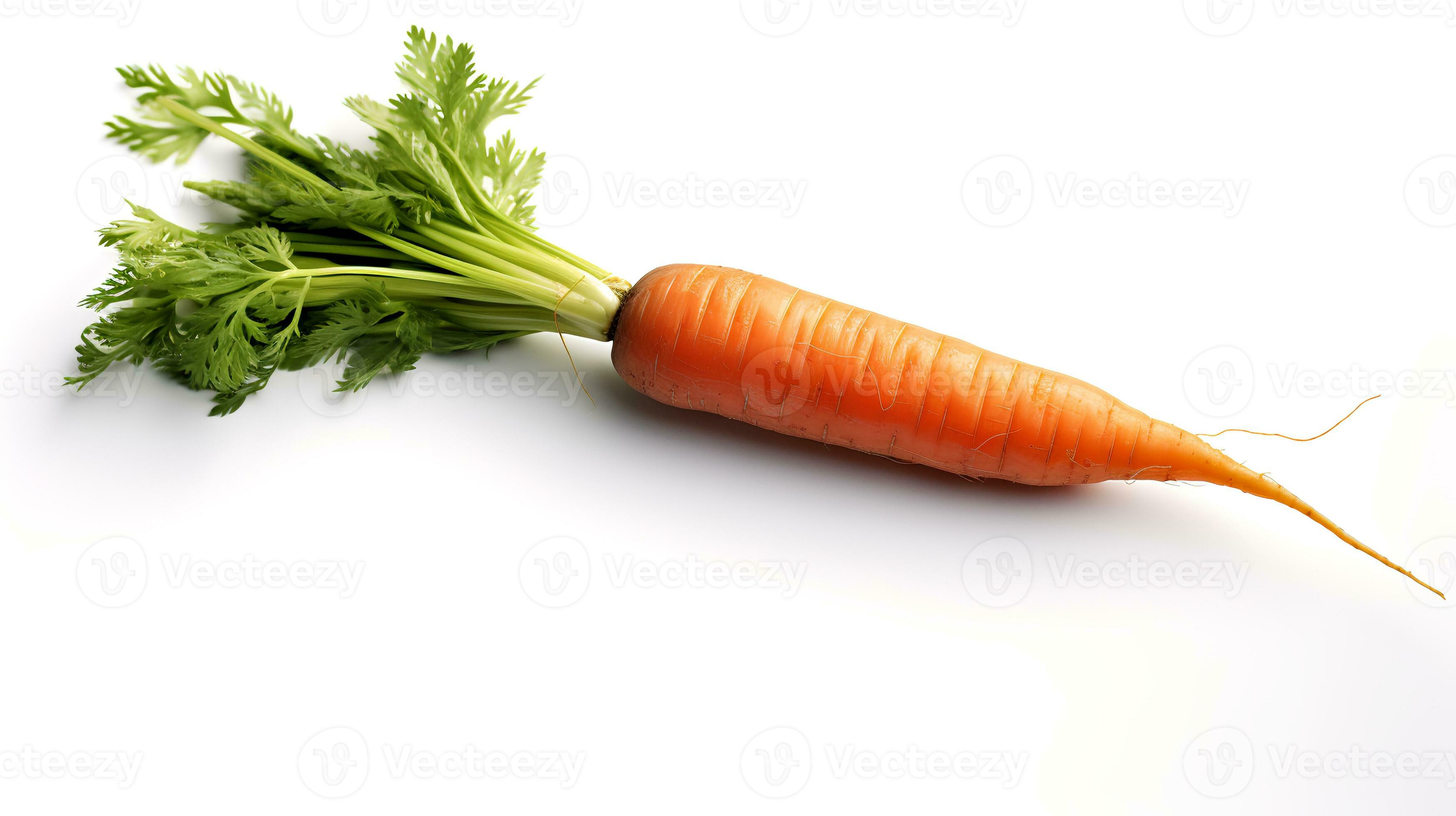 Photo of Carrots isolated on white background 26731071 Stock Photo at