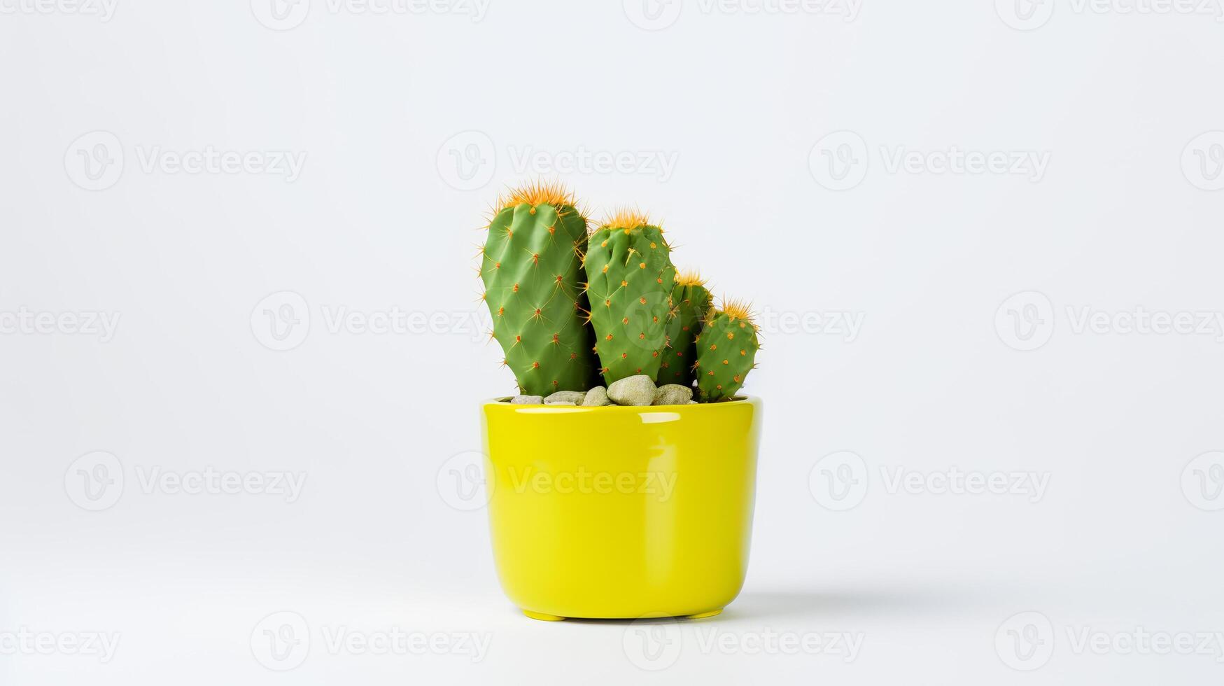 Photo of Prickly pear in minimalist yellow pot as houseplant for home decoration isolated on white background.
