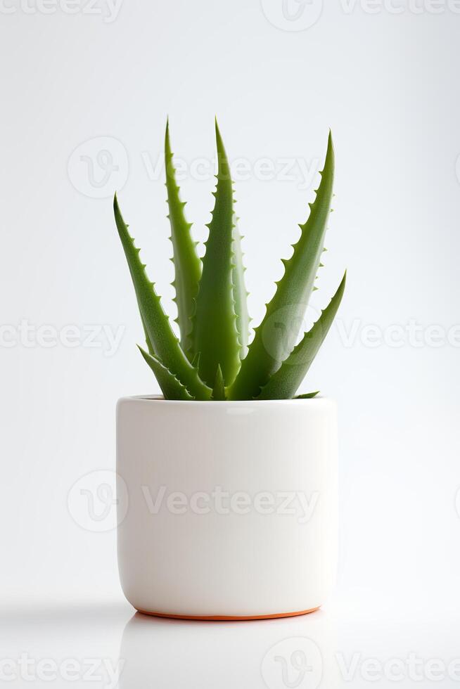 foto de áloe vera en minimalista maceta como planta de casa para hogar decoración aislado en blanco antecedentes. generativo ai