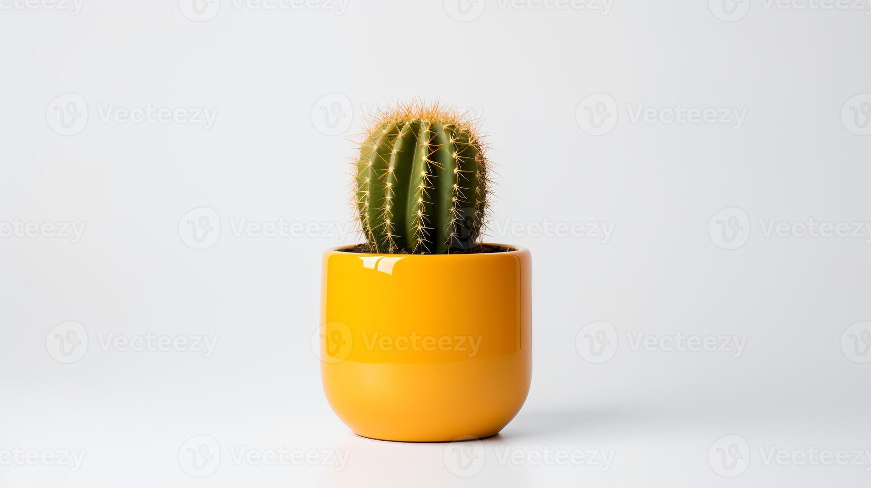Photo of Golden barrel cactus in minimalist yellow pot as houseplant for home decoration isolated on white background.
