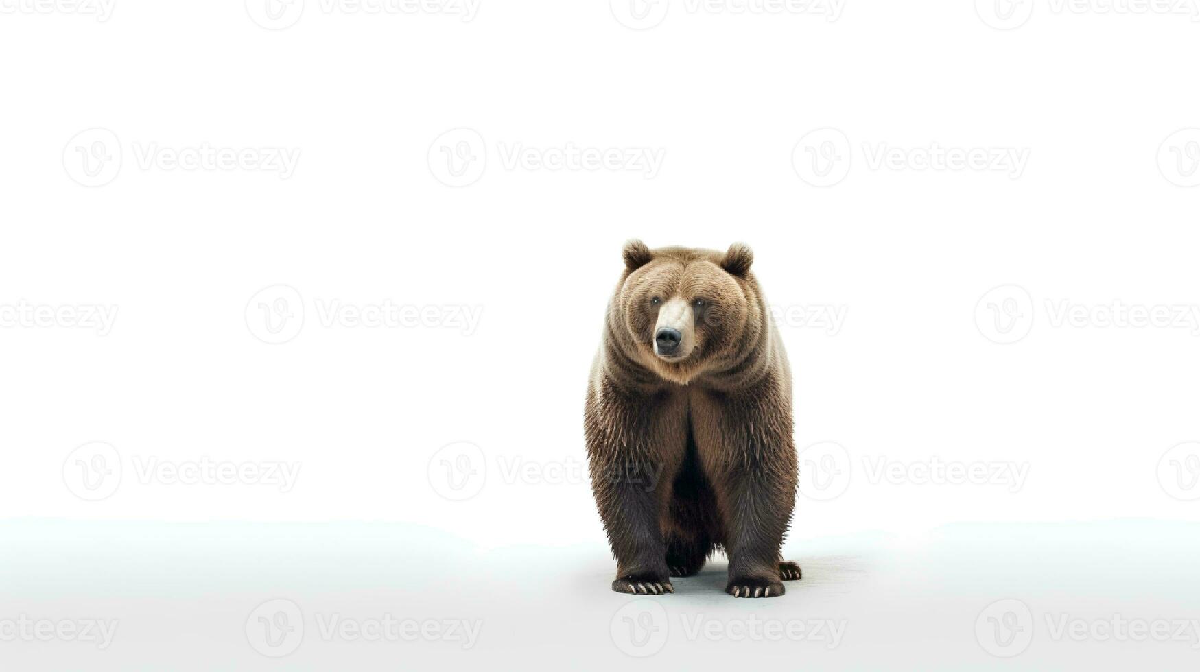 Photo of a american bear on white background. Generative AI