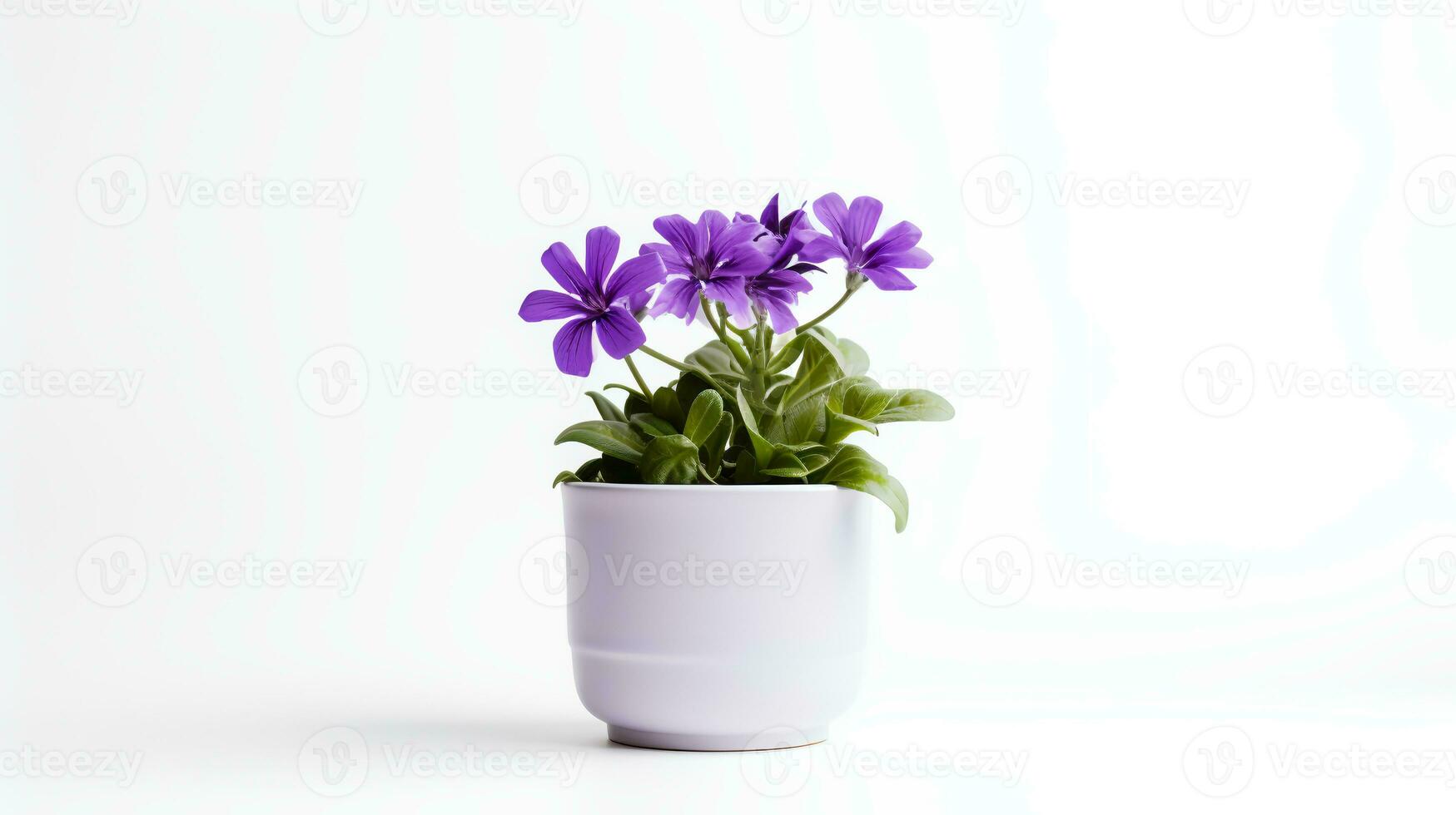 Photo of Violet flower in minimalist pot as houseplant for home decoration isolated on white background. Generative AI