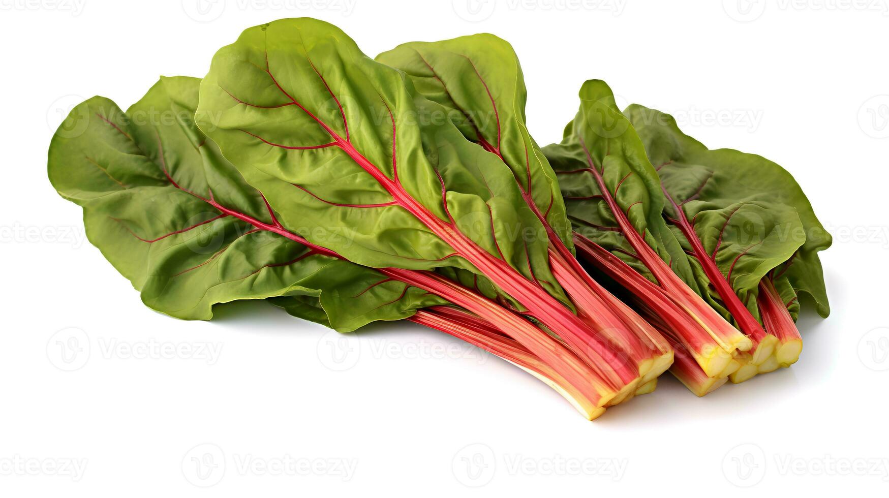 Photo of Swiss chard isolated on white background