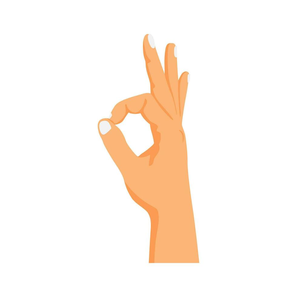hand gesture with ok sign vector