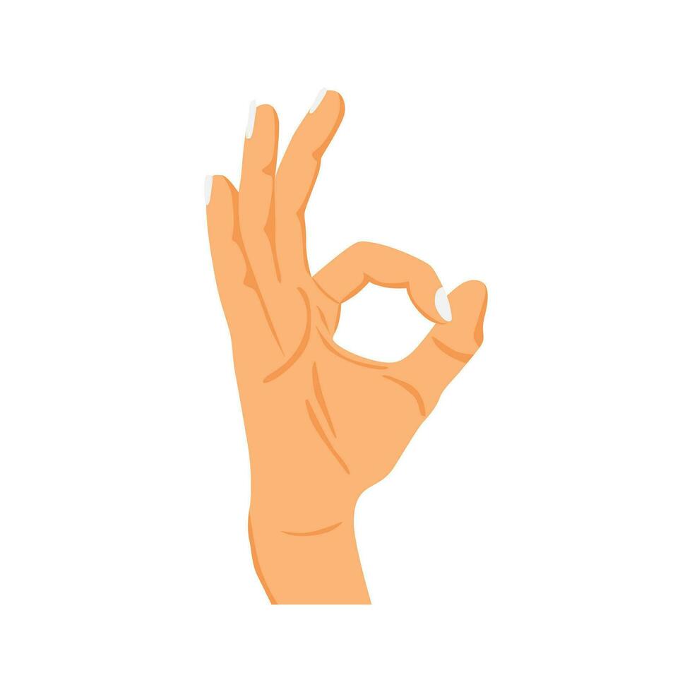 hand gesture with ok sign vector