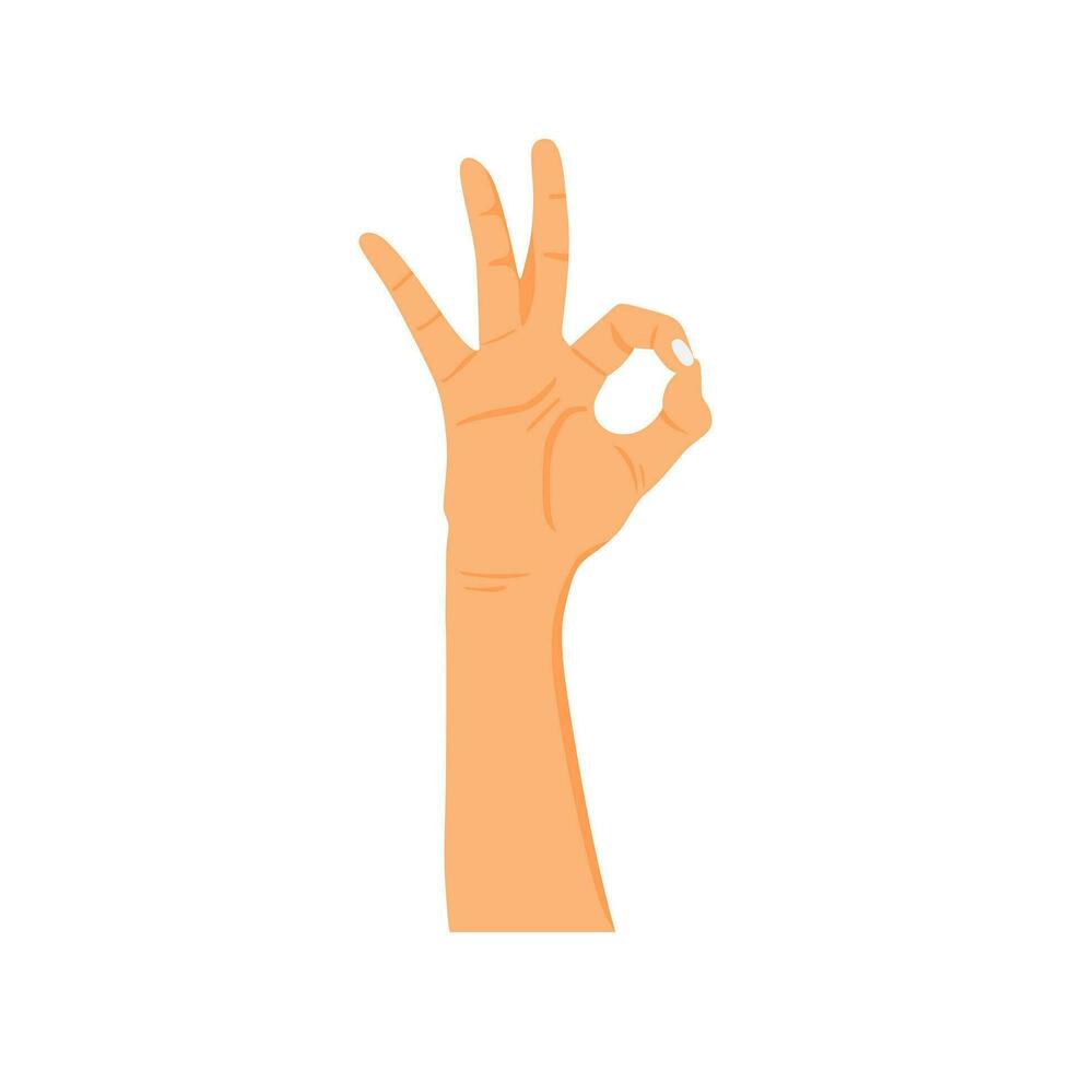 hand gesture with ok sign vector