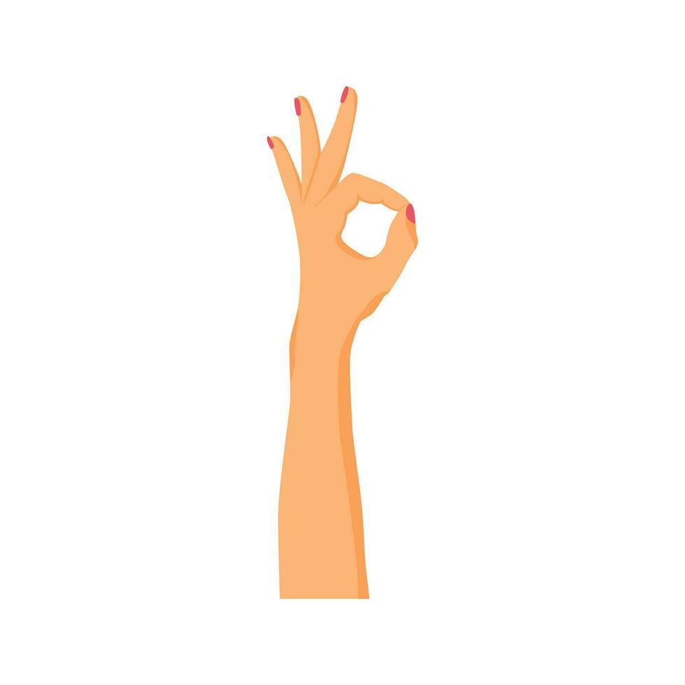 hand gesture with ok sign vector