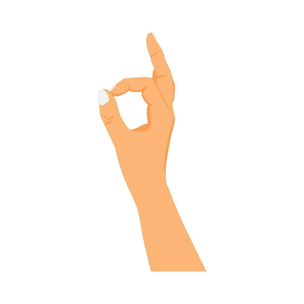 hand gesture with ok sign vector