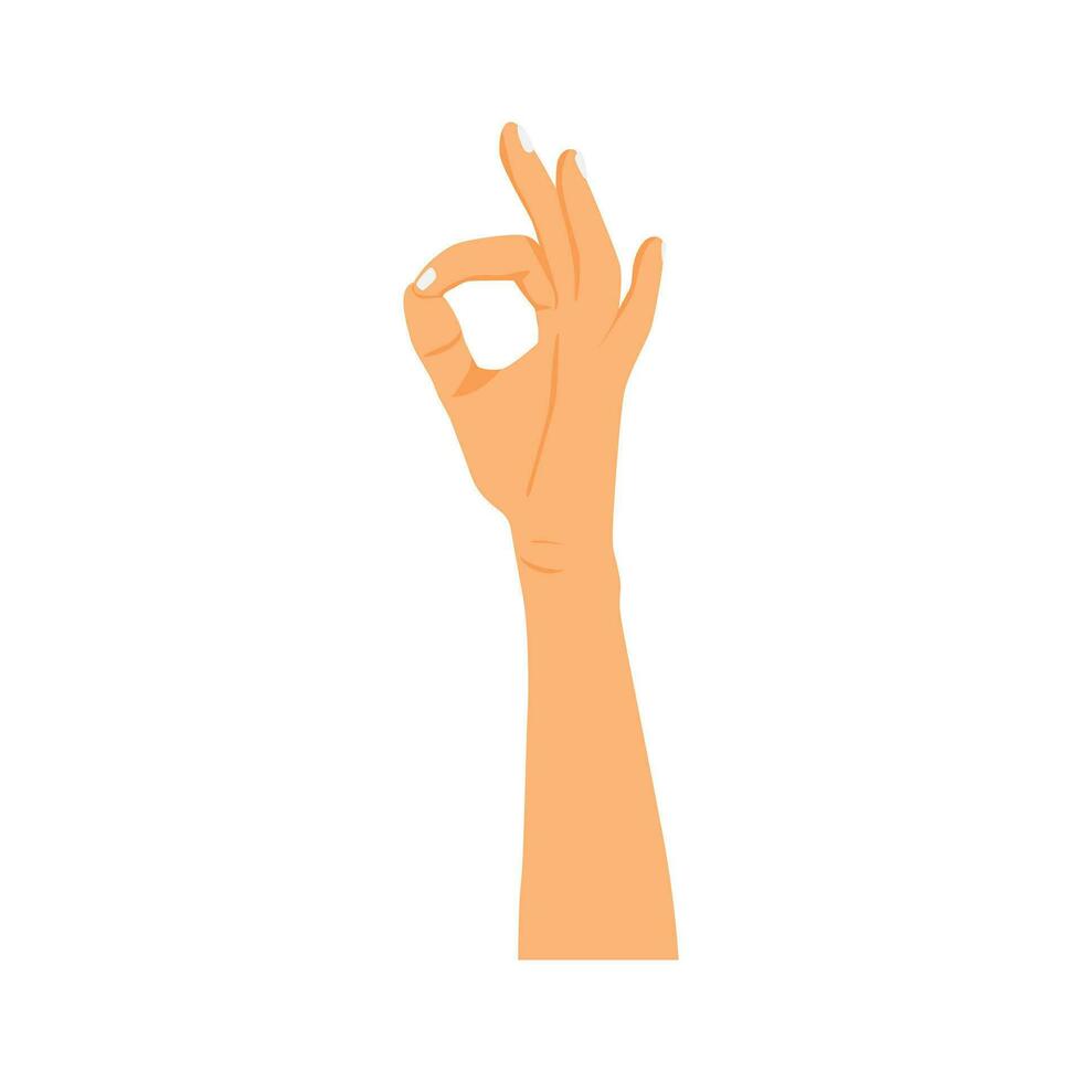 hand gesture with ok sign vector