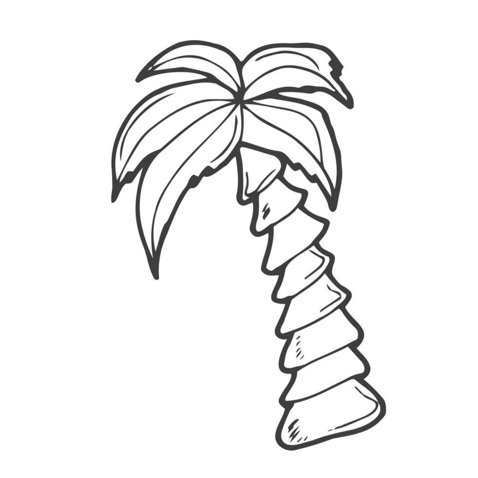 Palm tree vector illustration. Doodle style. Design, print, decor, textile, paper