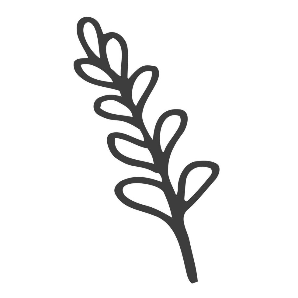 doodle leaves branch icon isolated vector