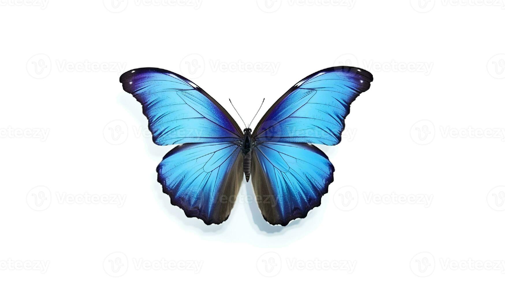 Photo of a Blue Morpho Butterfly on white background. Generative AI