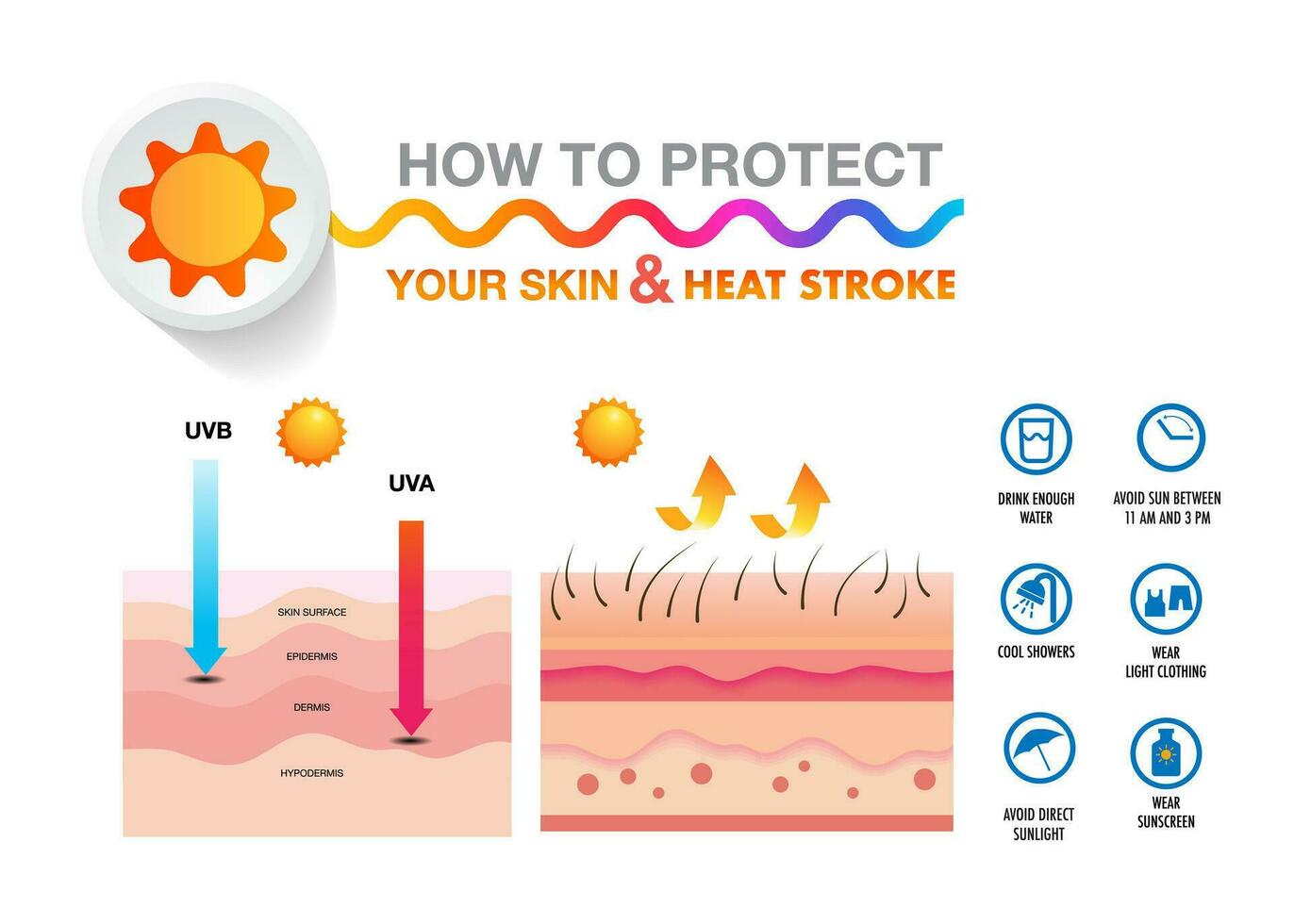 calor golpe porque efecto, síntomas y cómo a prevención vector