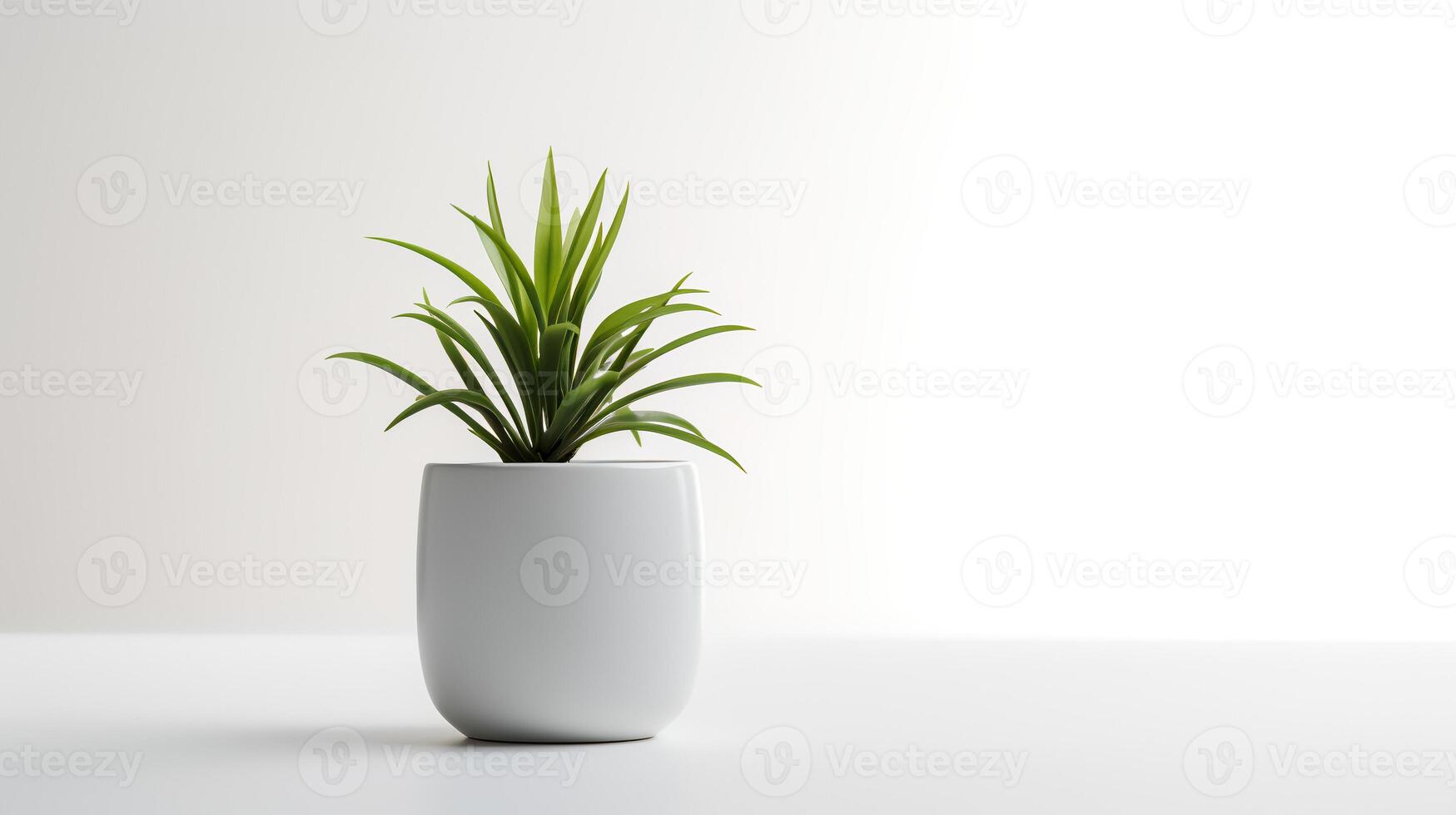 Photo houseplant in minimalist pot  for home decoration. Generative AI