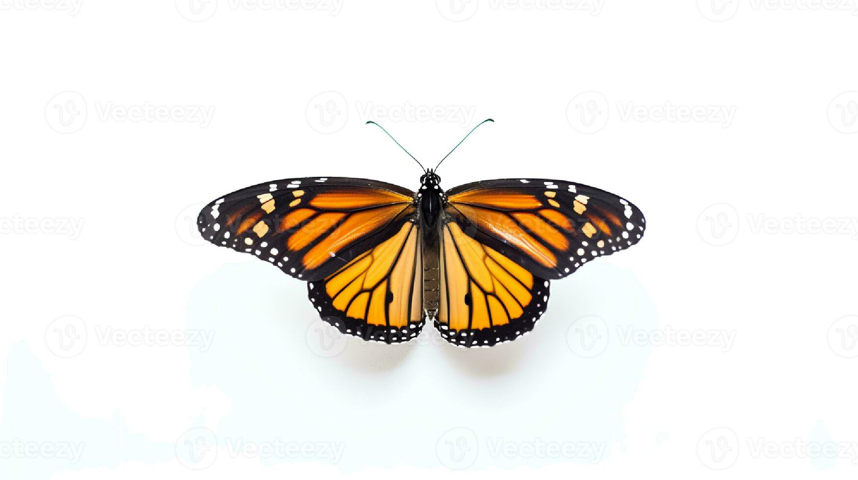 Photo of a monarch butterly on white background. Generative AI