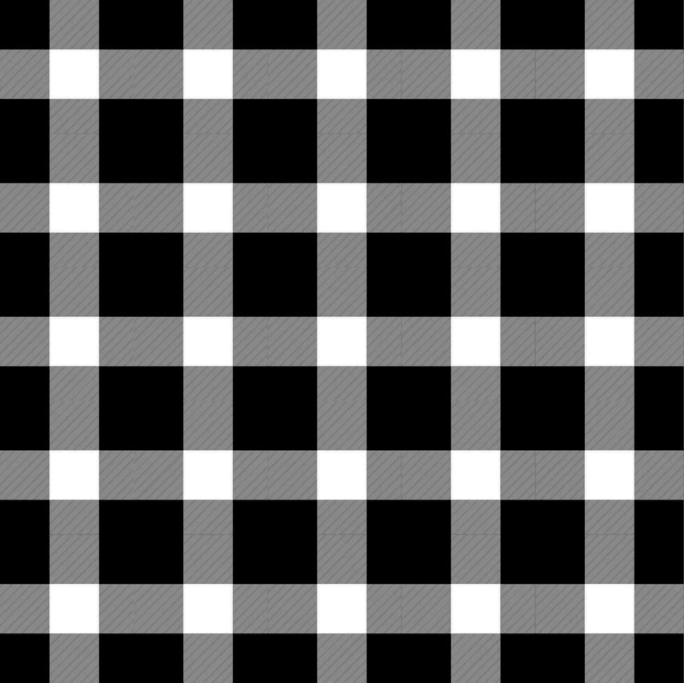 black and white  plaid pattern vector