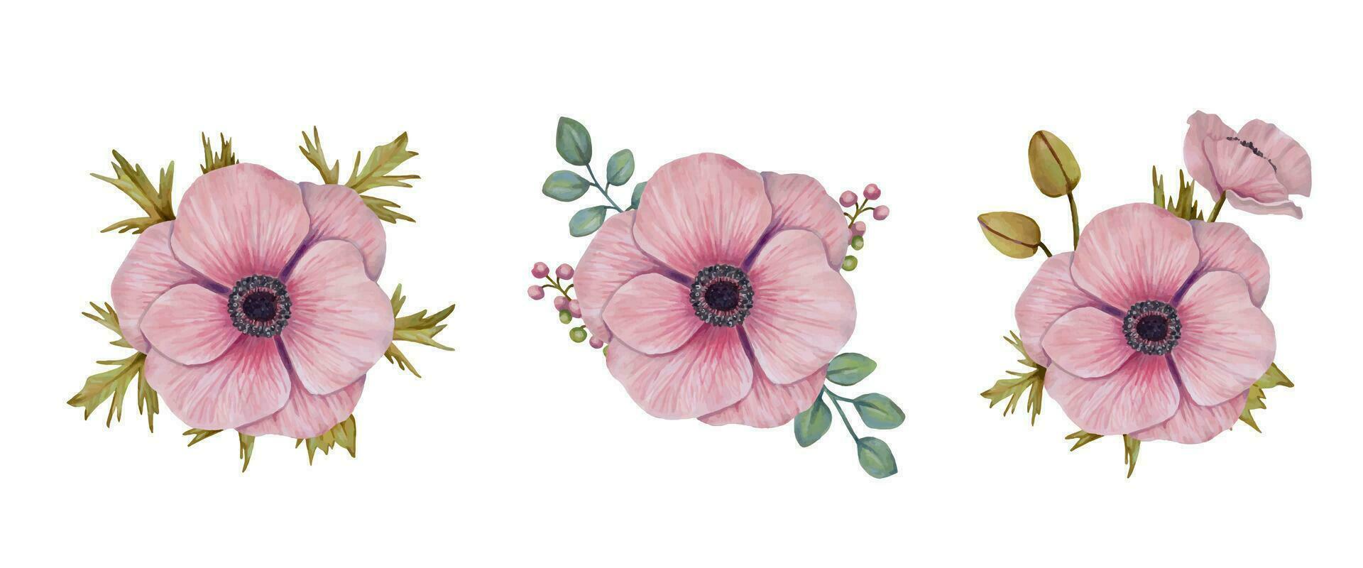 Floral set.Anemone flowers with leaves and berries. Ideal for design elements, cards, wedding invitations, birthdays. vector