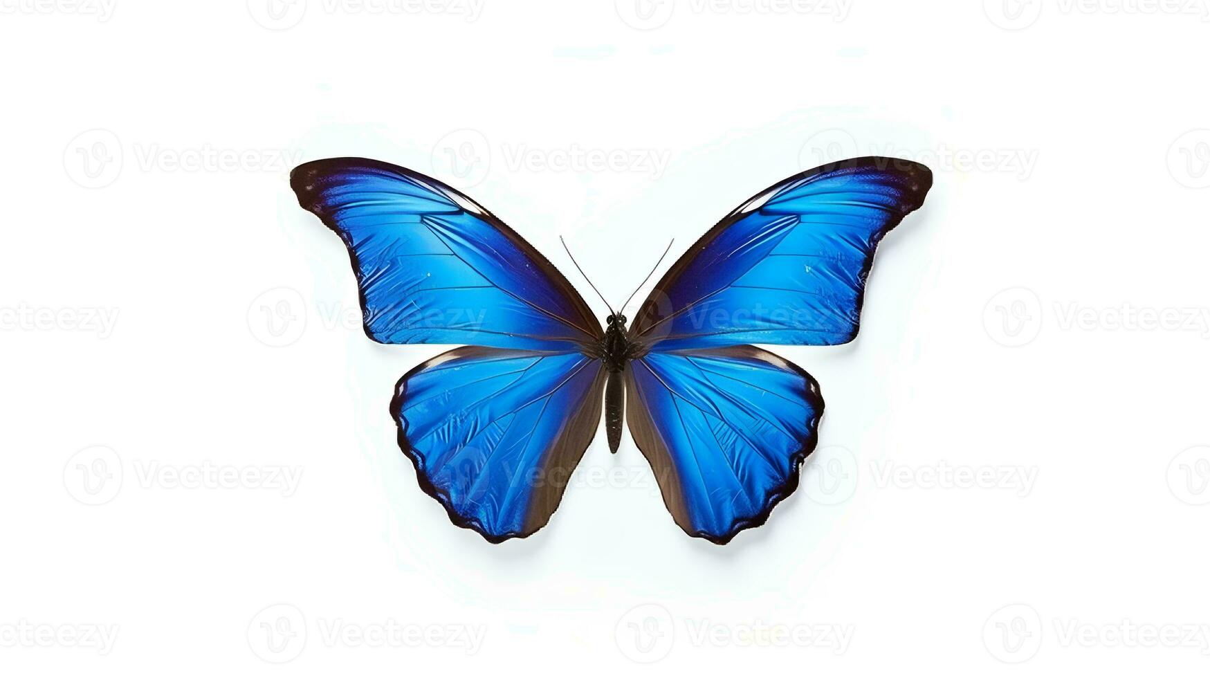 Photo of a Blue Morpho Butterfly on white background. Generative AI