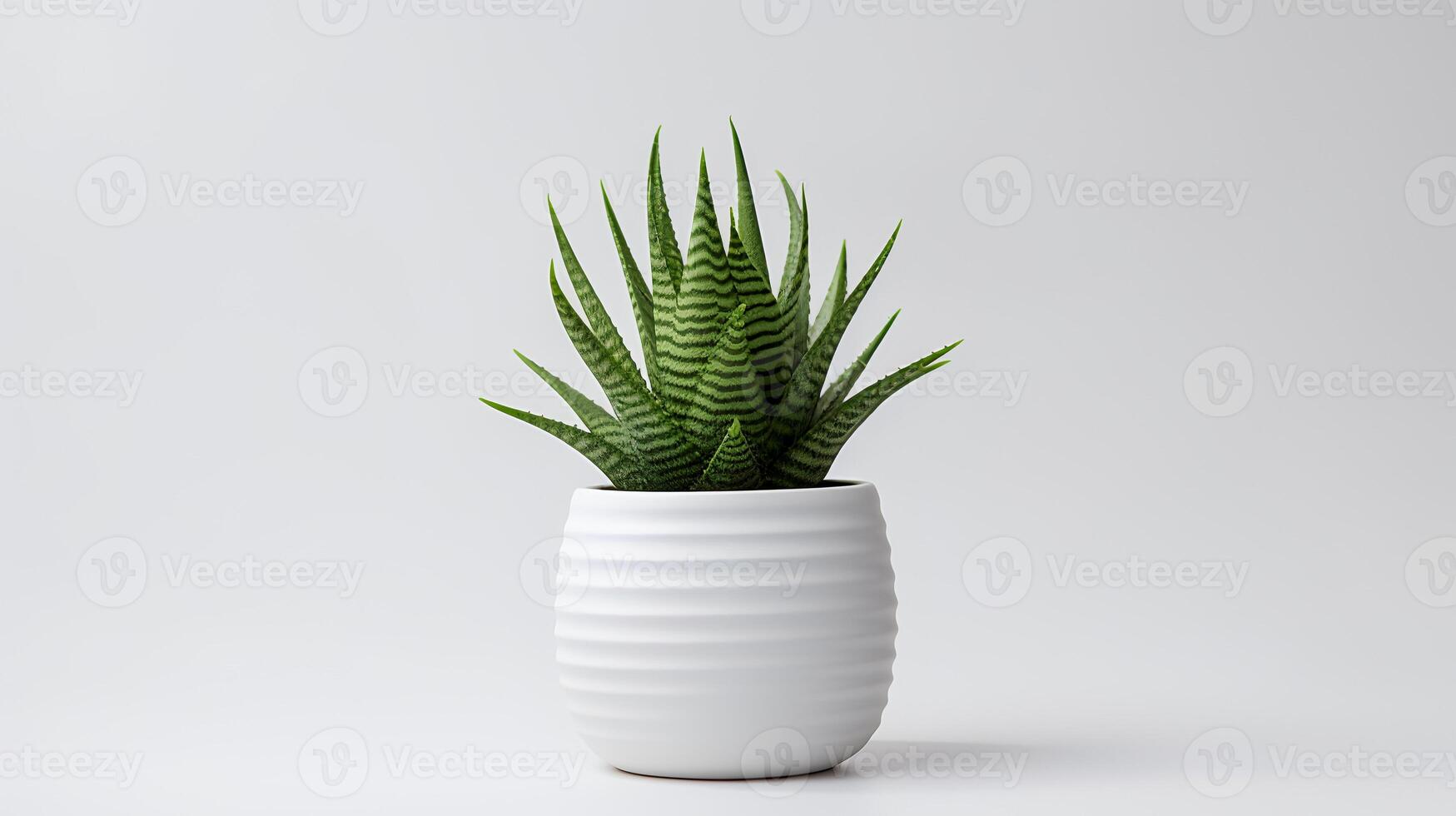 foto de haworthia en minimalista maceta como planta de casa para hogar decoración aislado en blanco antecedentes. generativo ai