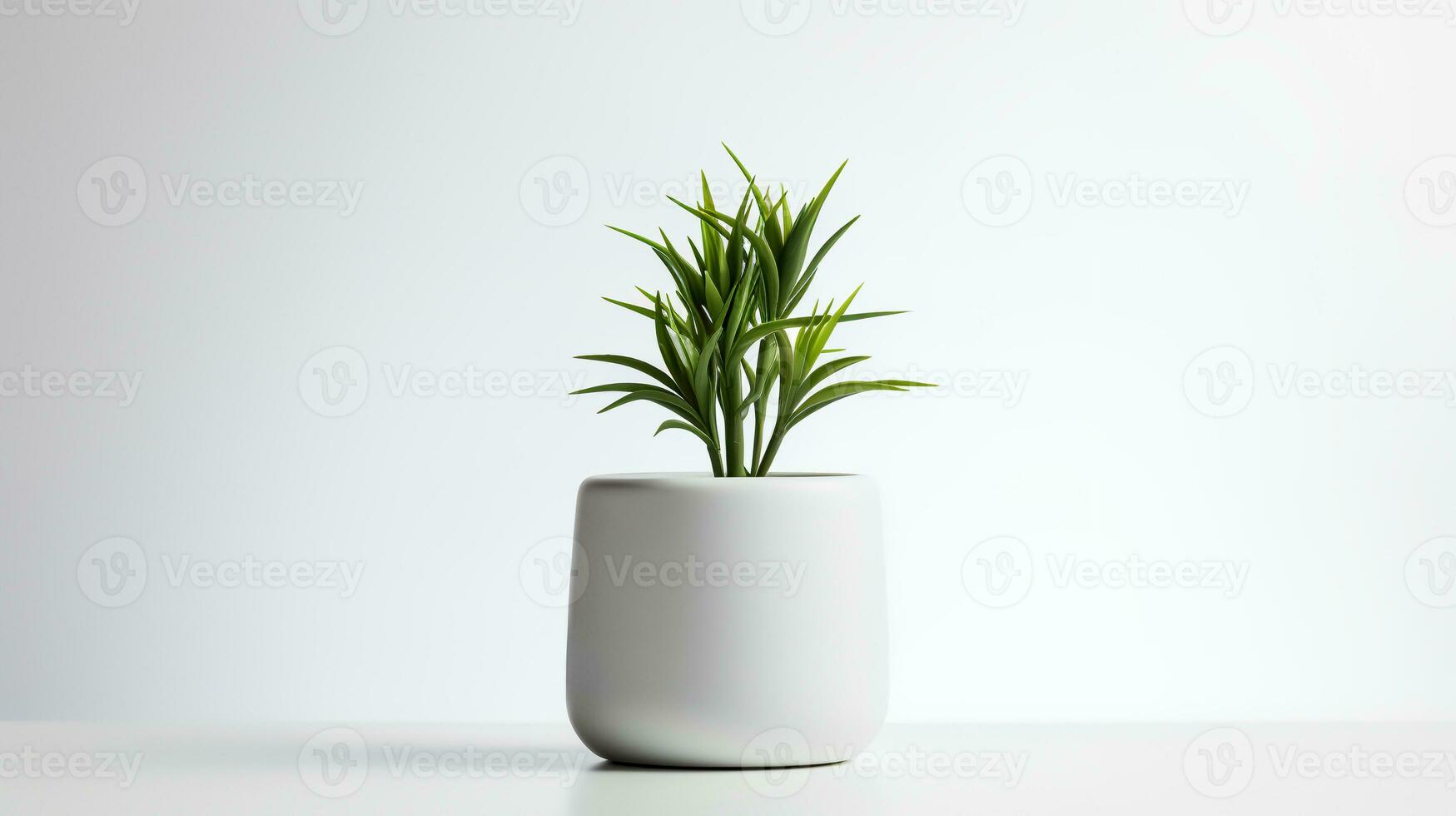 Photo houseplant in minimalist pot  for home decoration. Generative AI