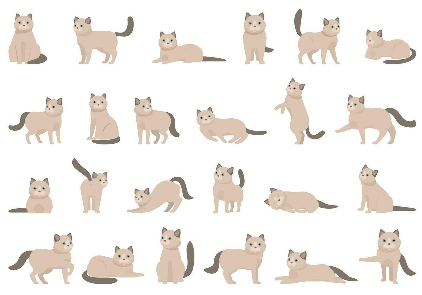 Ragdoll icons set cartoon vector. Nature animal vector