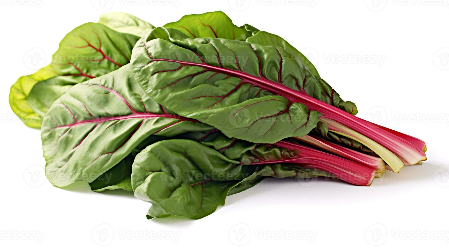 Photo of Swiss chard isolated on white background