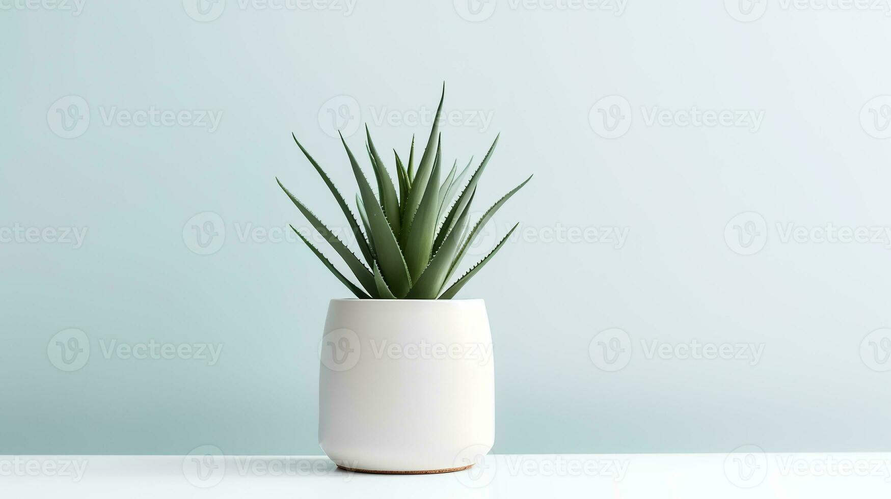 Photo of agave in minimalist pot as houseplant for home decoration isolated on white background. Generative AI