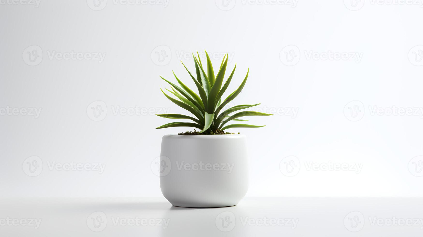 Photo houseplant in minimalist pot  for home decoration. Generative AI