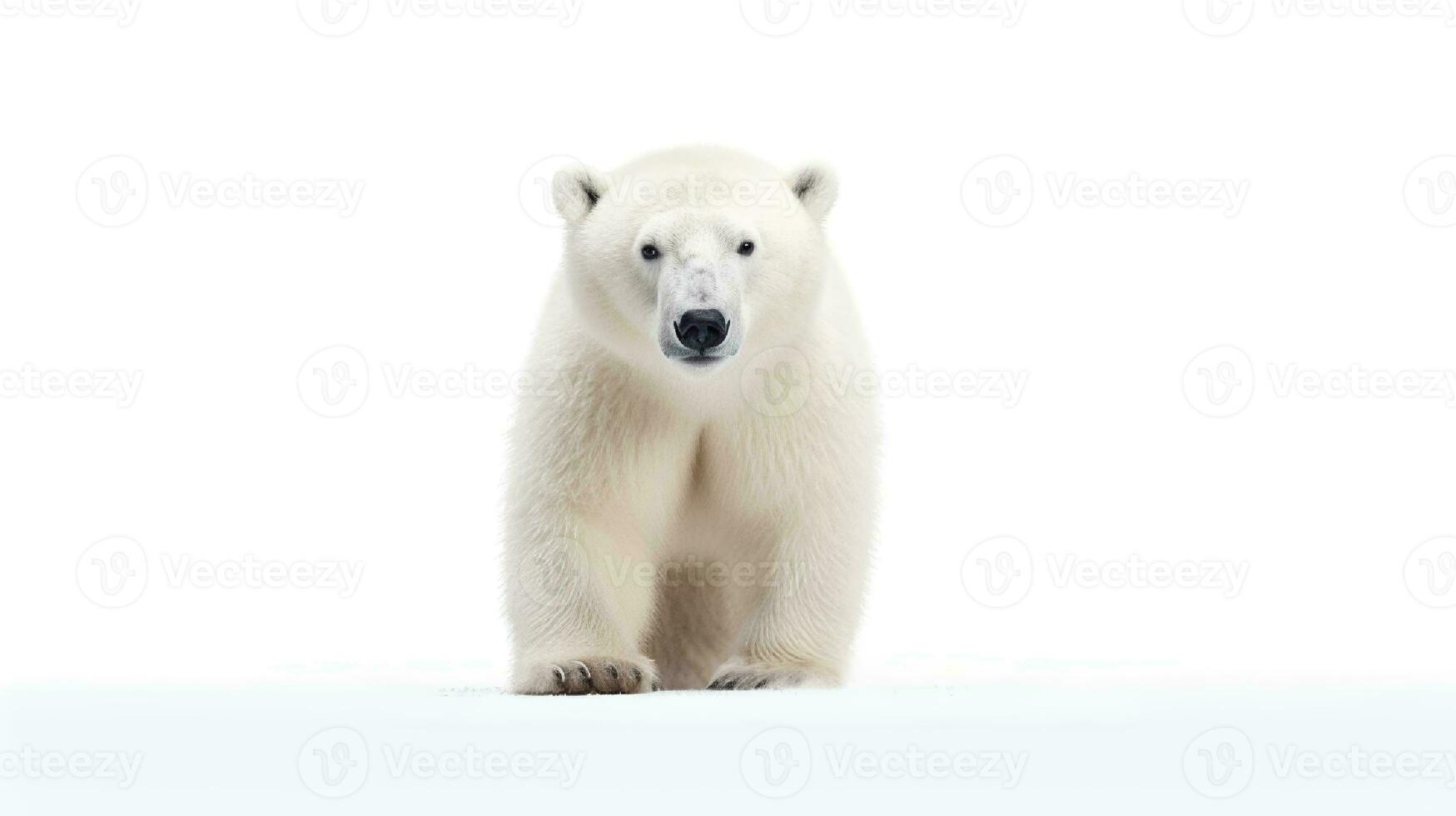 foto de un nudo el polar oso en blanco antecedentes. generativo ai