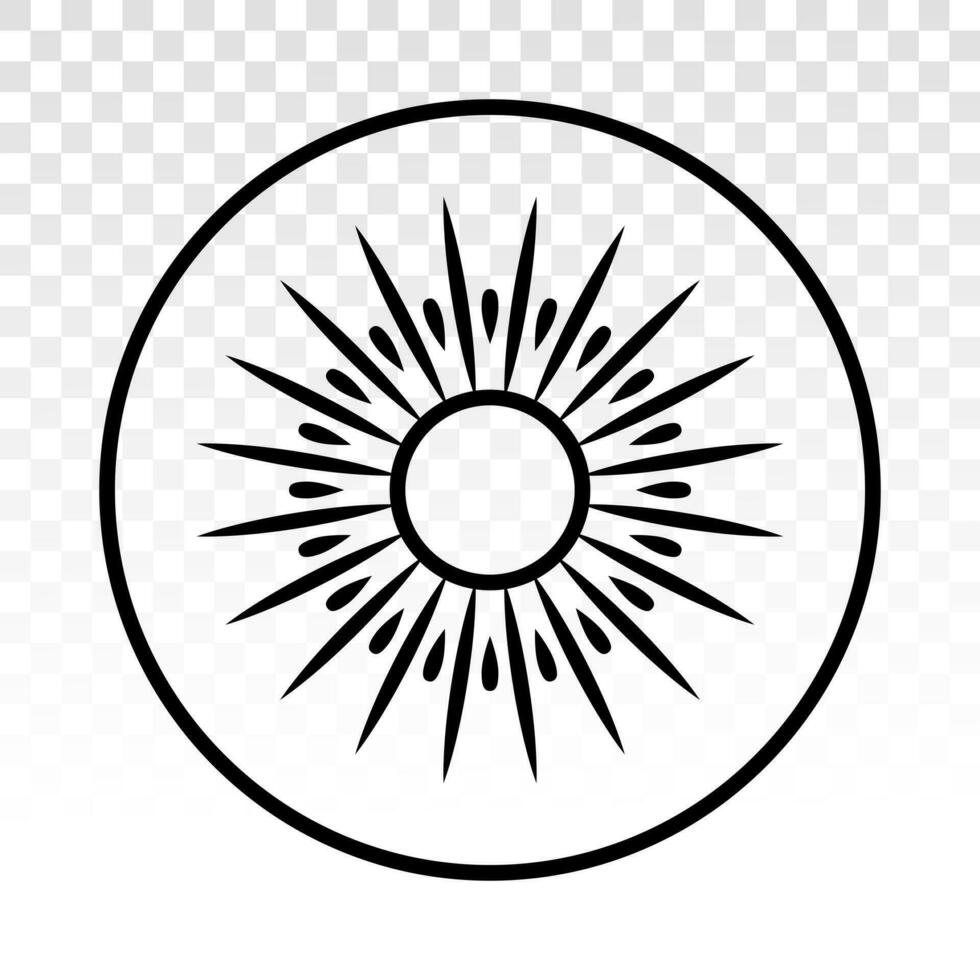 Kiwi fruit or chinese gooseberry line art icon for apps or website vector