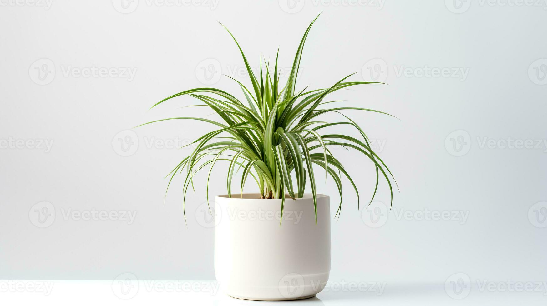 Photo of Spider Plant in minimalist pot as houseplant for home decoration. Generative AI