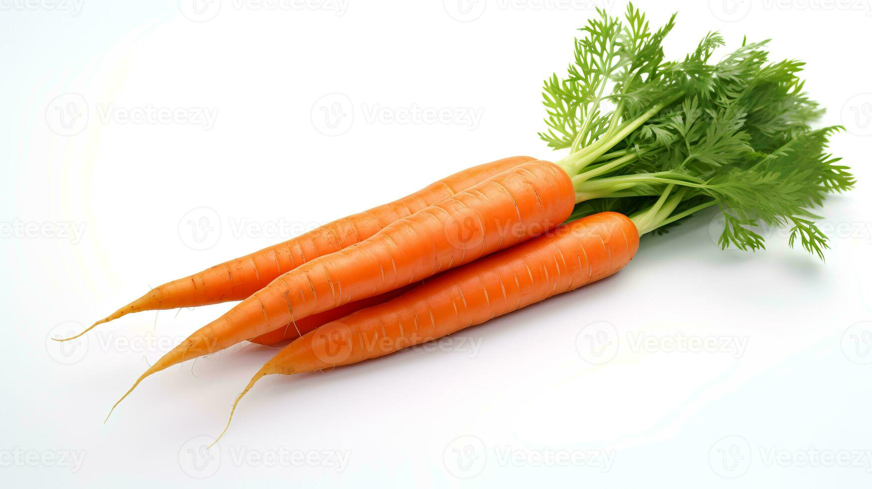 Photo of Carrots isolated on white background