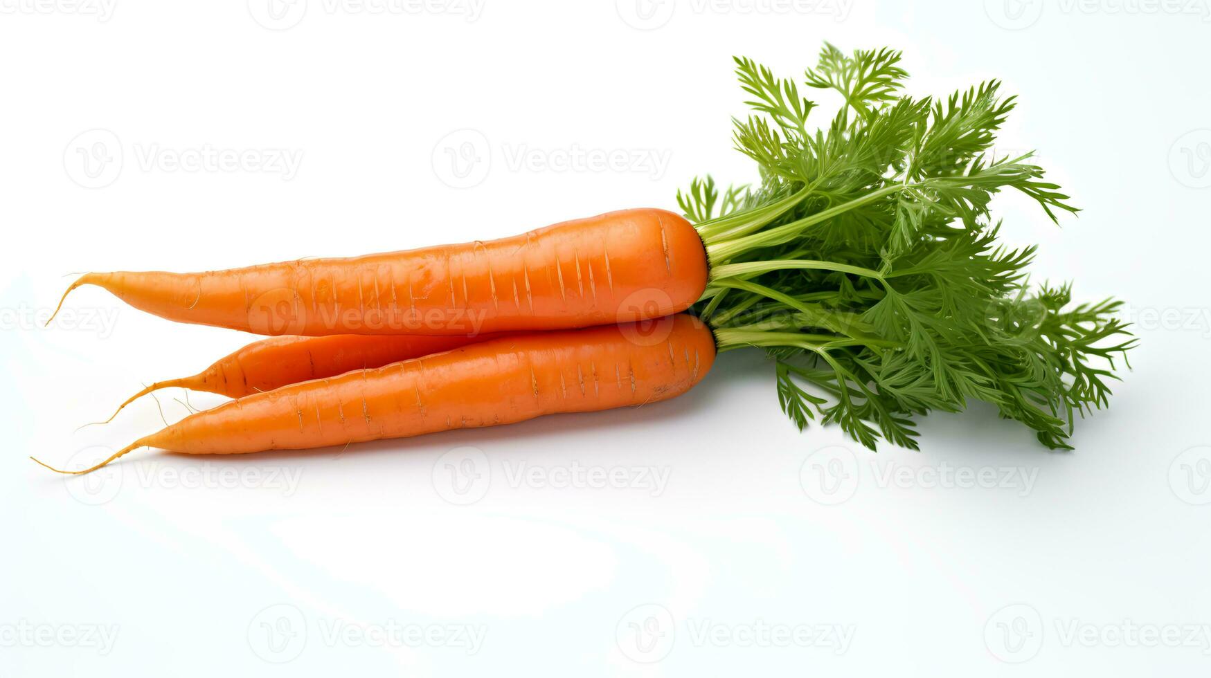 Photo of Carrots isolated on white background