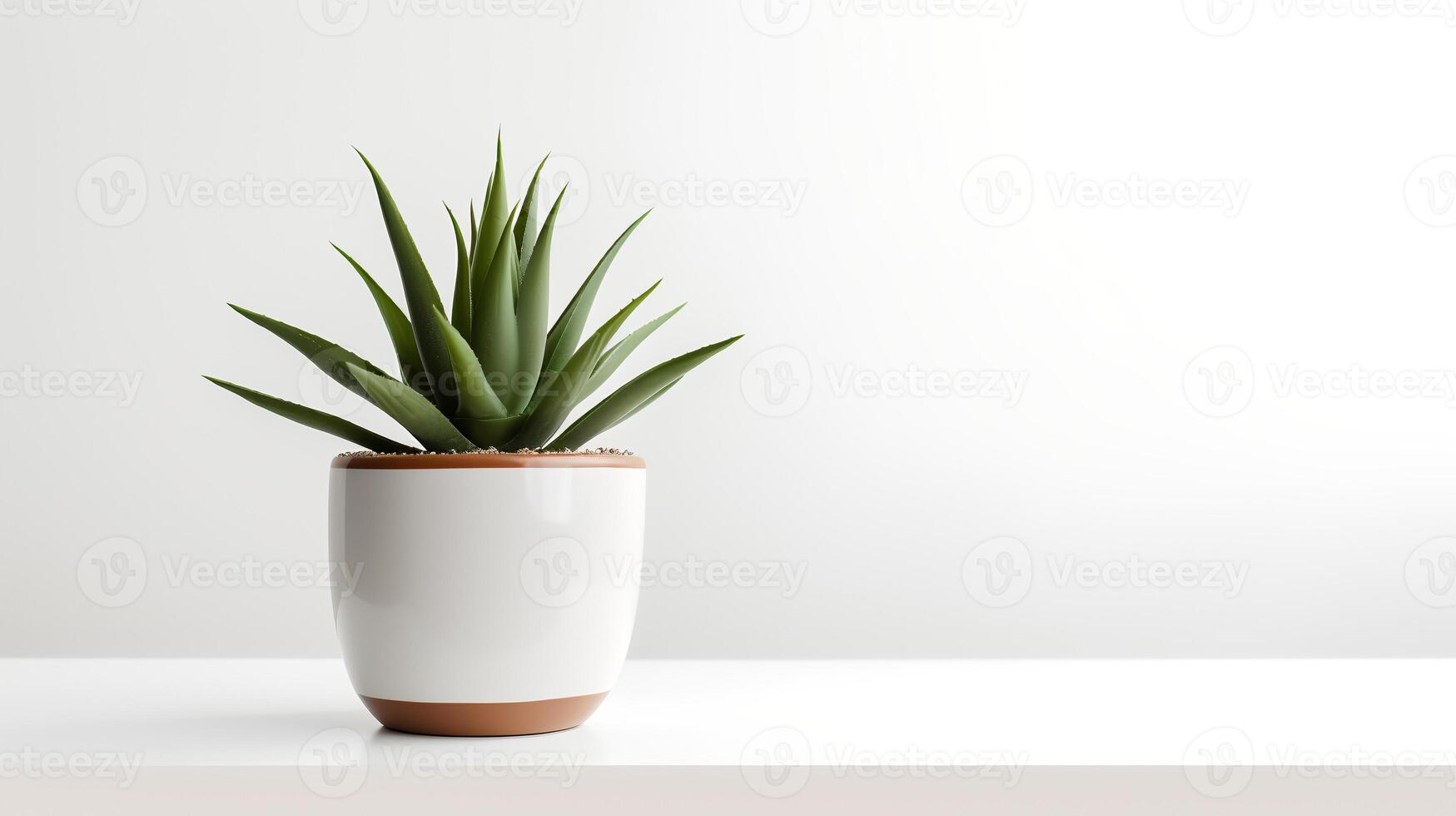 Photo of agave in minimalist pot as houseplant for home decoration isolated on white background. Generative AI