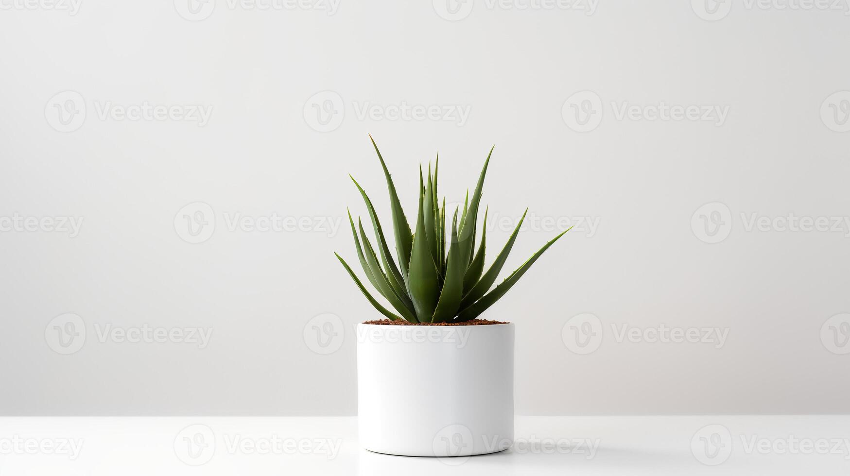 foto de agave en minimalista maceta como planta de casa para hogar decoración aislado en blanco antecedentes. generativo ai