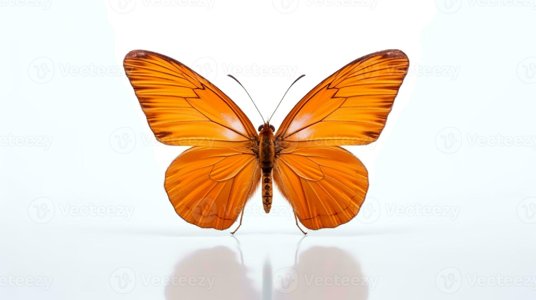 Photo of a julia butterly on white background. Generative AI