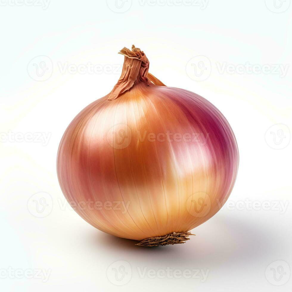 Photo of Onion isolated on white background
