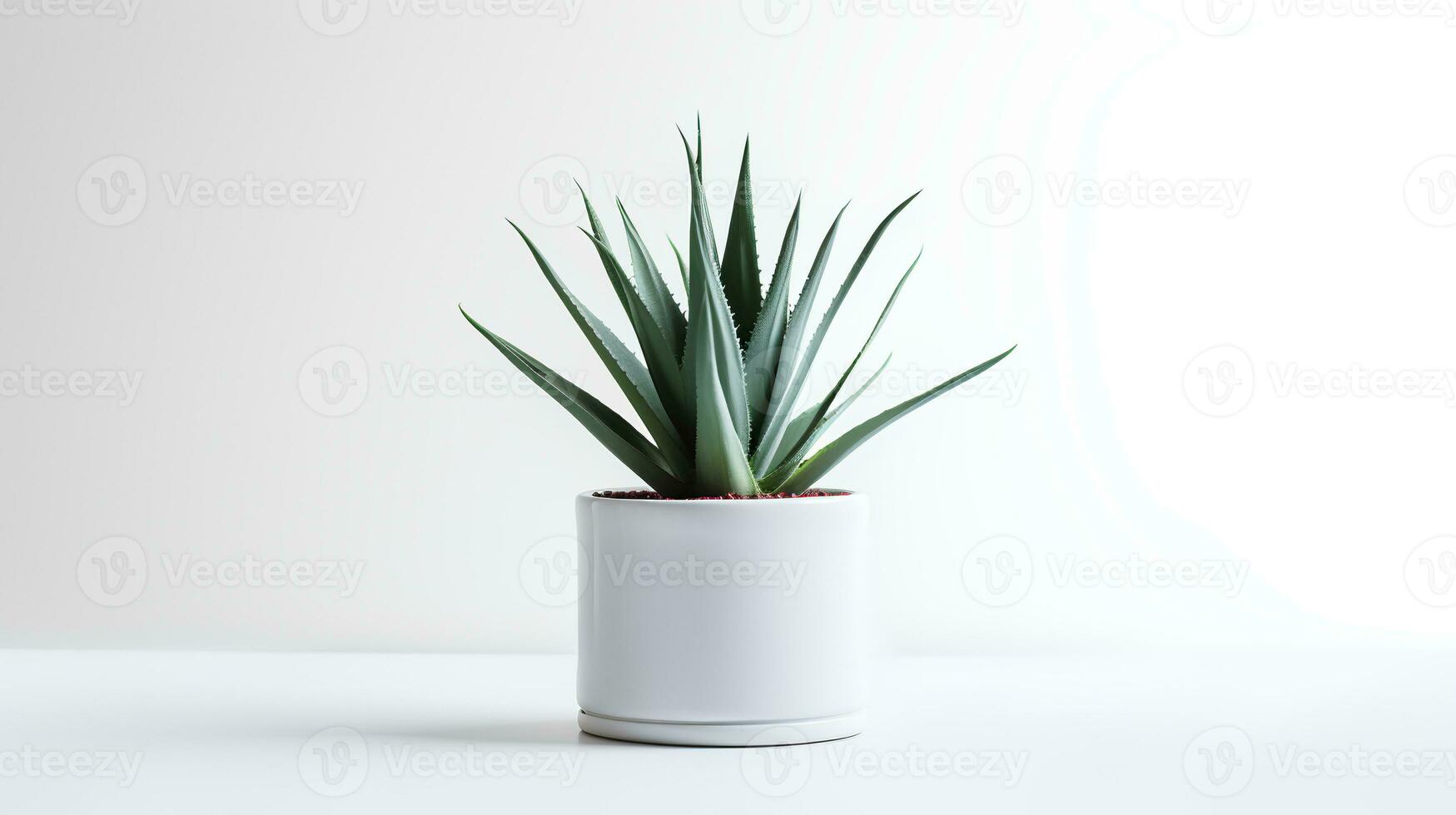 Photo of agave in minimalist pot as houseplant for home decoration isolated on white background. Generative AI