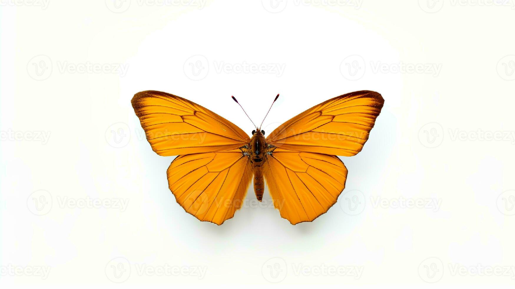 Photo of a monarch butterly on white background. Generative AI