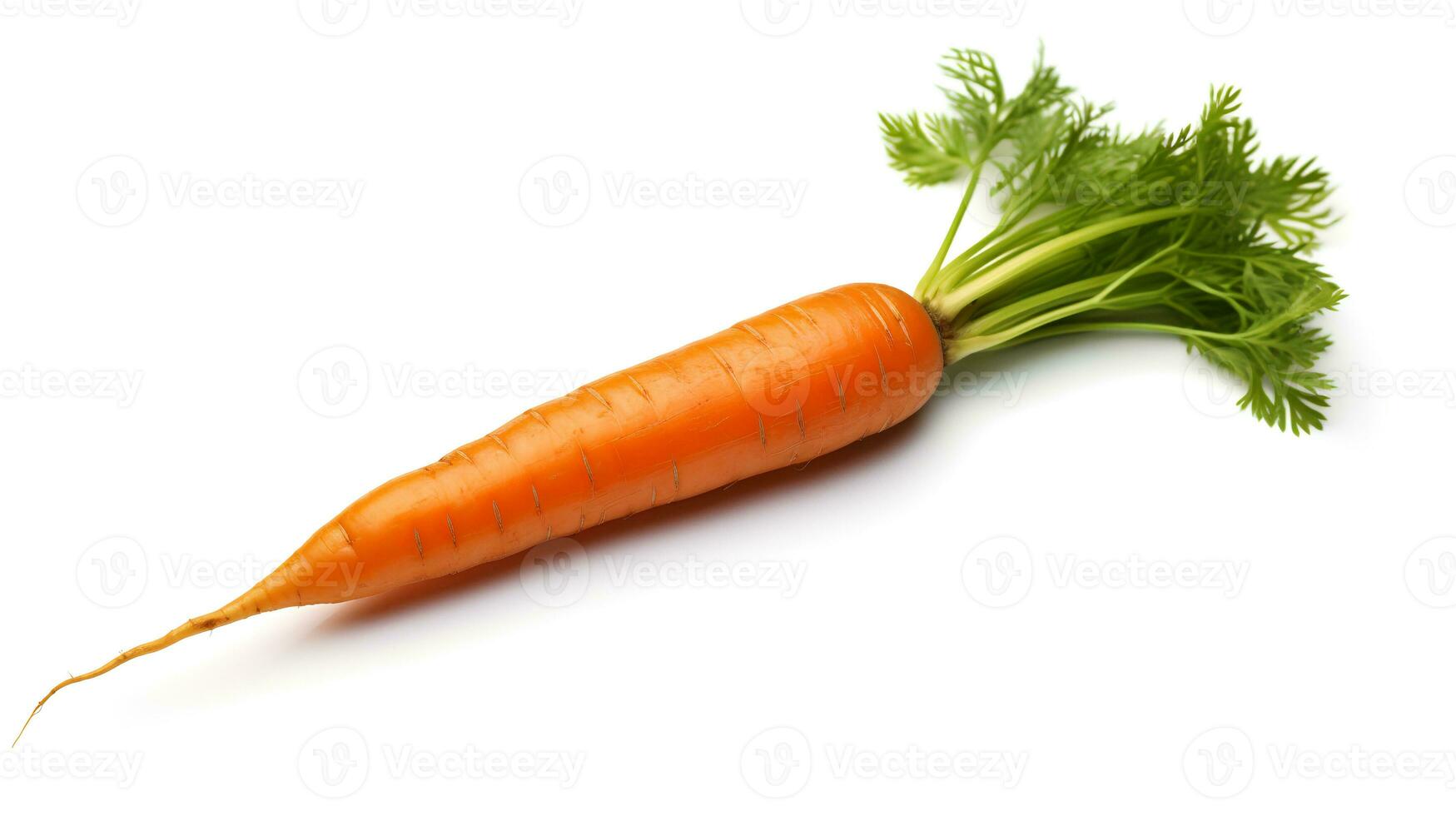 Photo of Carrots isolated on white background