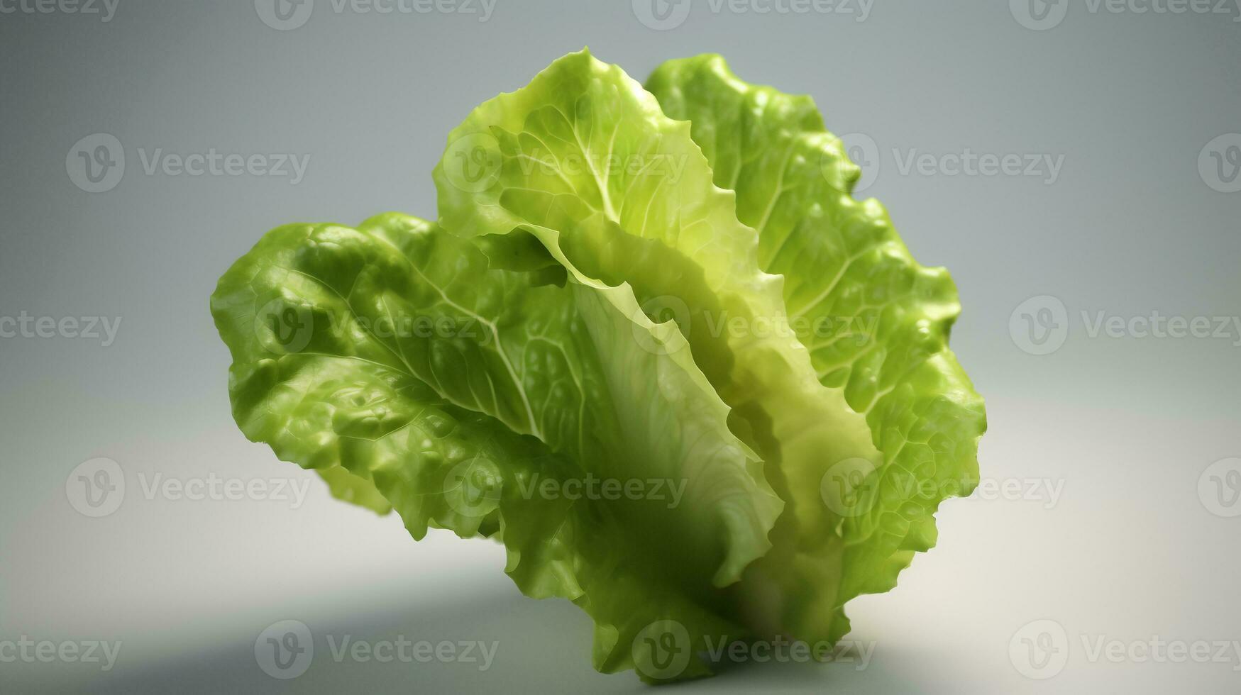 Photo of Fresh Lettuce isolated on white background