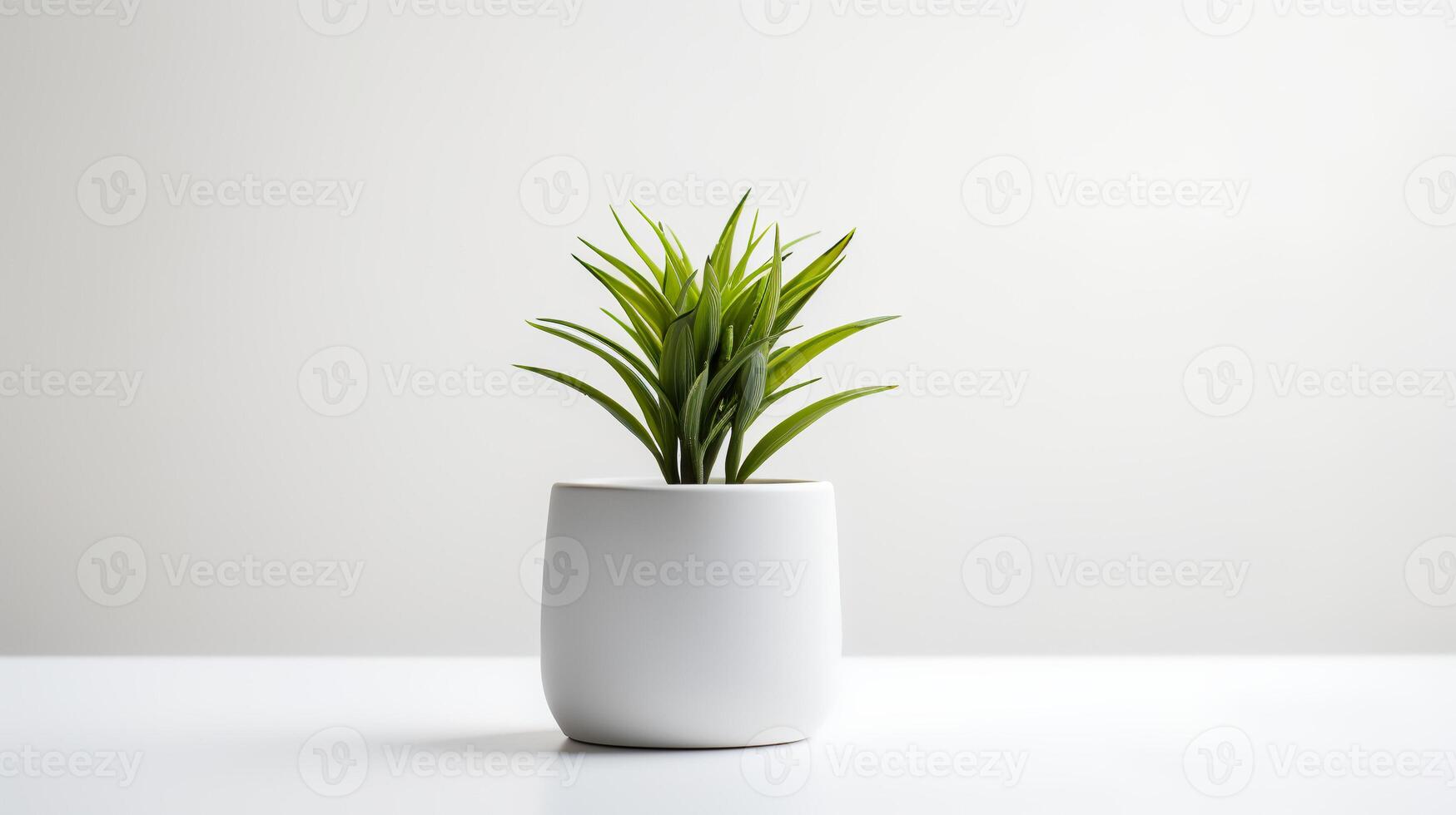 Photo houseplant in minimalist pot  for home decoration. Generative AI