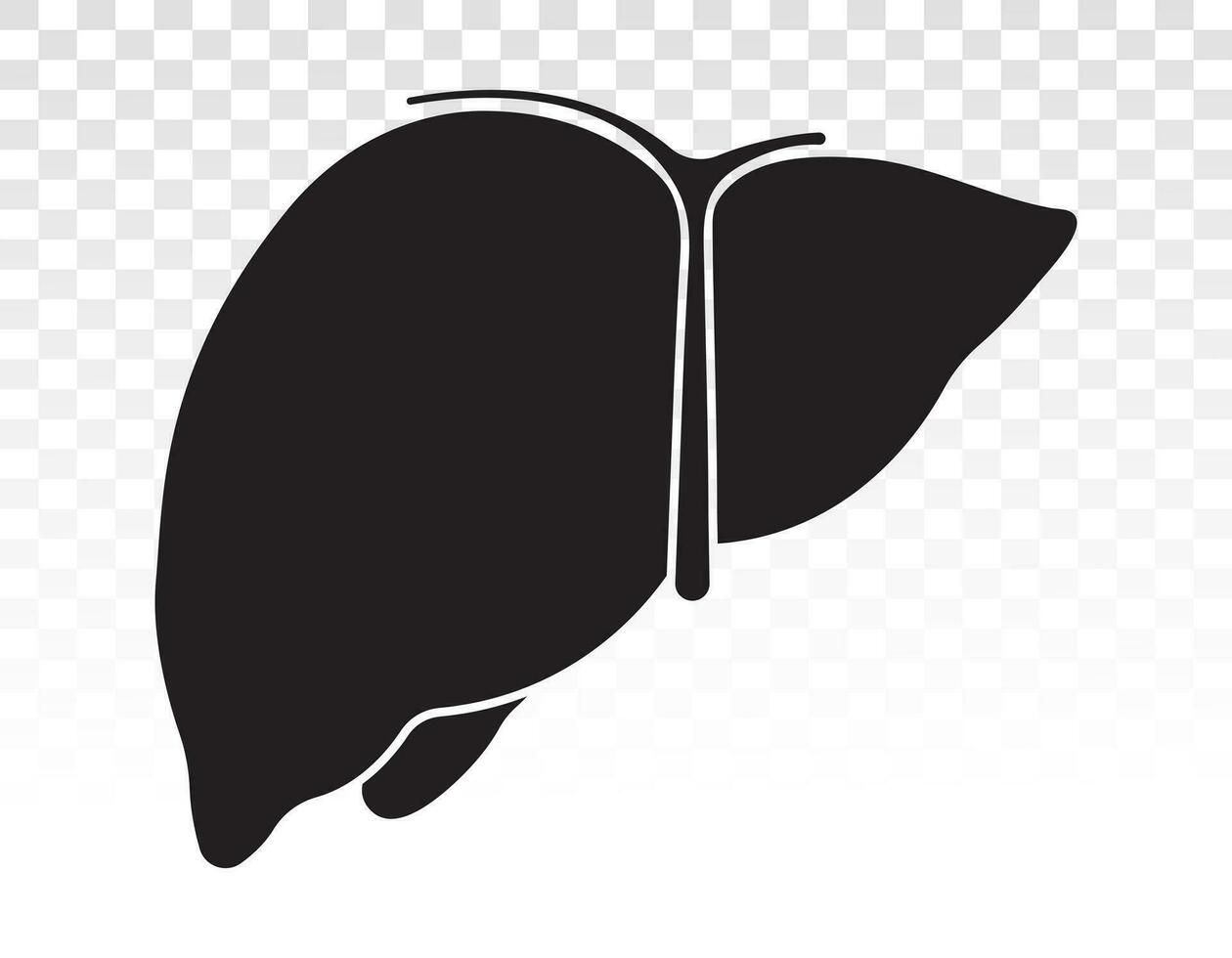Human liver anatomy with gallbladder flat vector icons for apps and websites