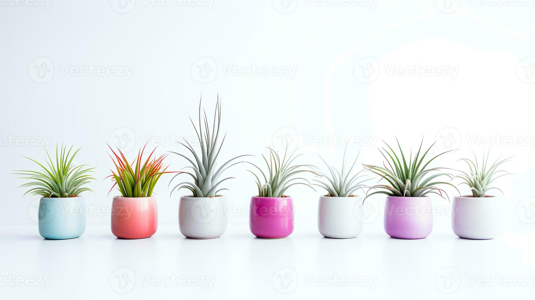 Photo of ornamental plants in minimalist pot as houseplant for home decoration isolated on white background. Generative AI