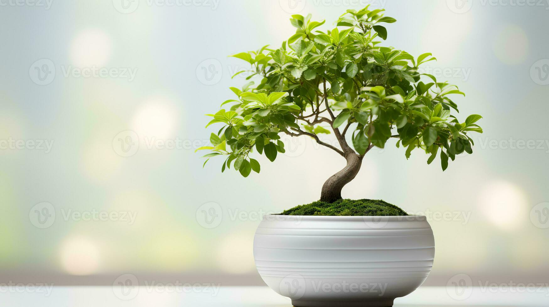 Photo of bonsai in minimalist pot as houseplant for home decoration isolated on blurry background. Generative AI