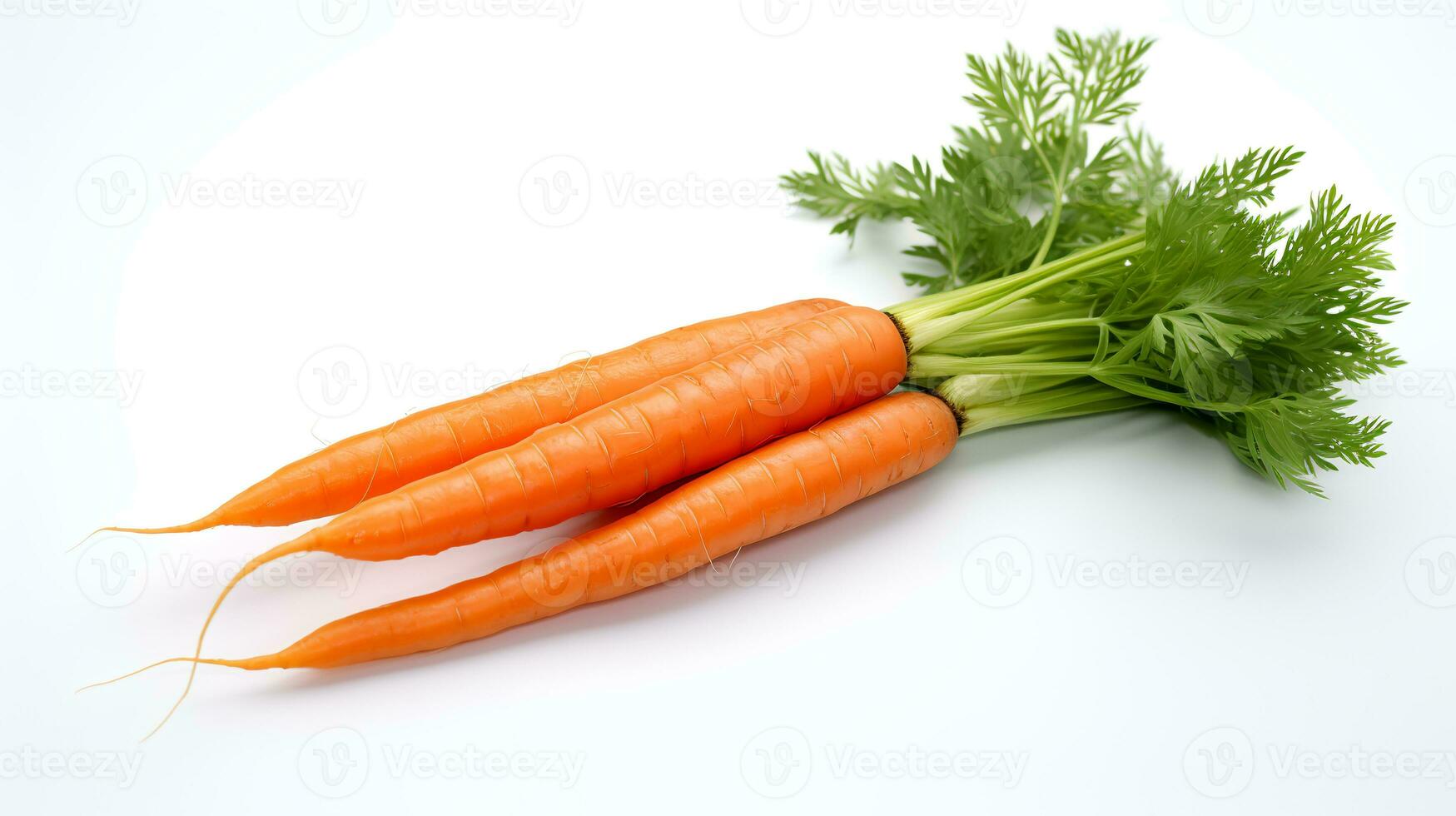 Photo of Carrot isolated on white background