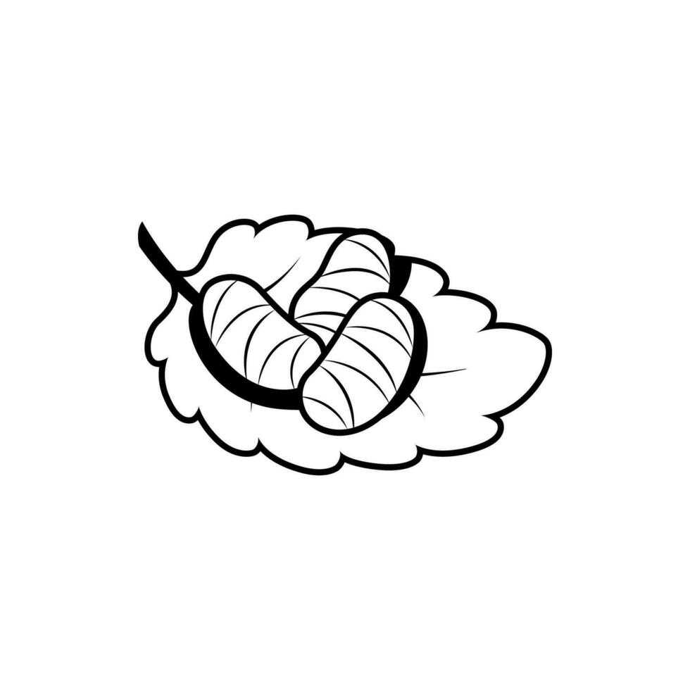 Silkworm cocoon on leaves vector line isolated,