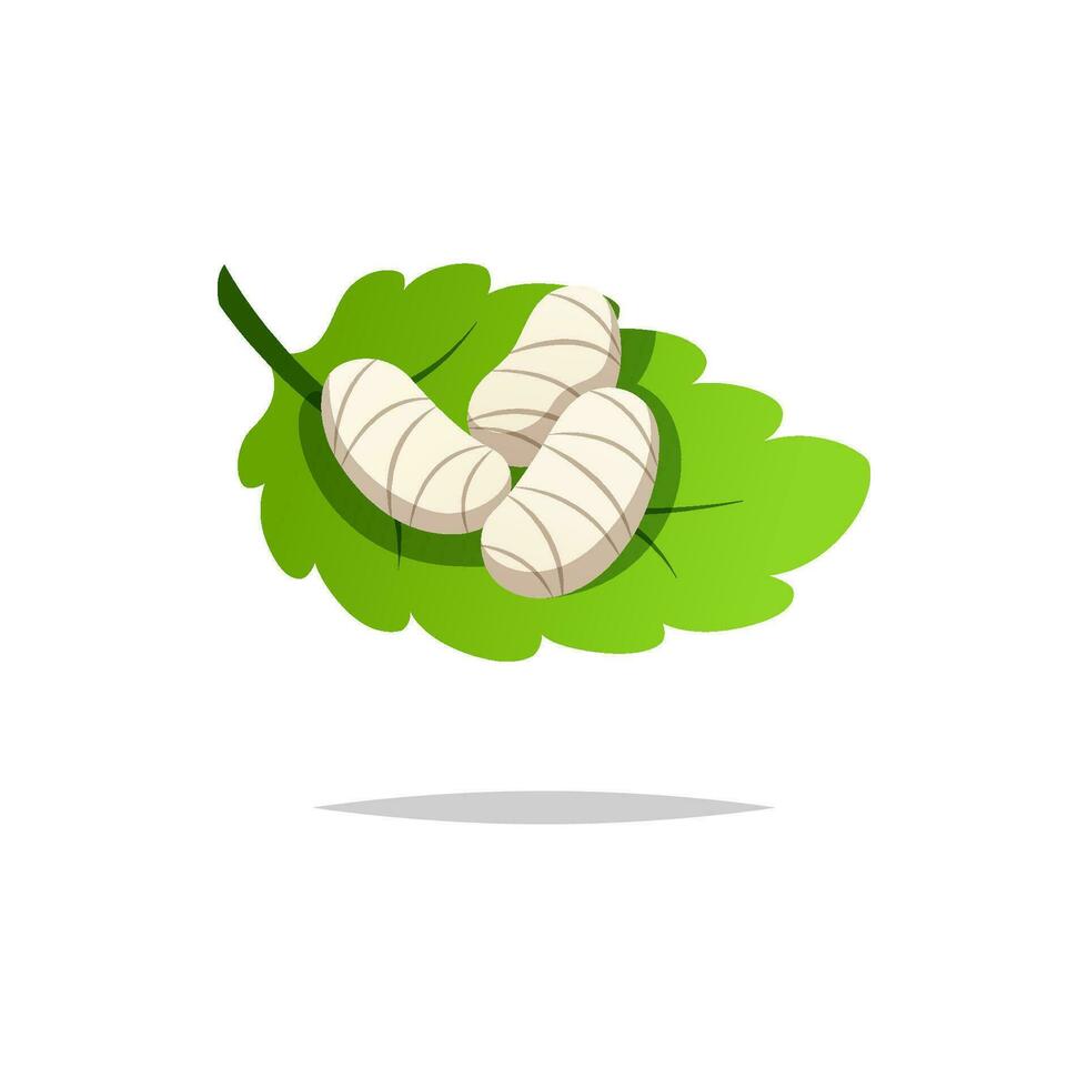 Silkworm cocoon on leaves vector isolated,